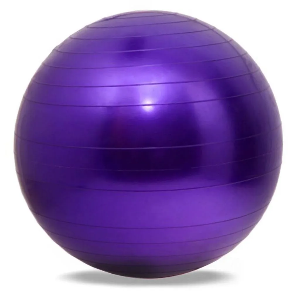 65cm Yoga Pilates Swiss Ball