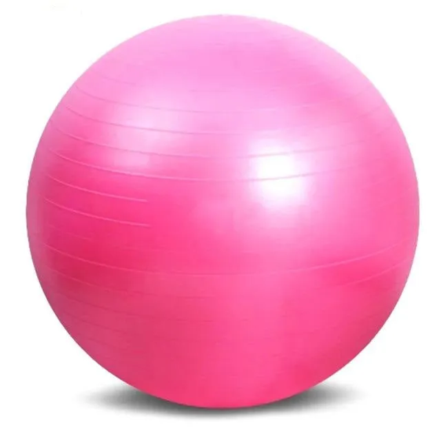 65cm Yoga Pilates Swiss Ball