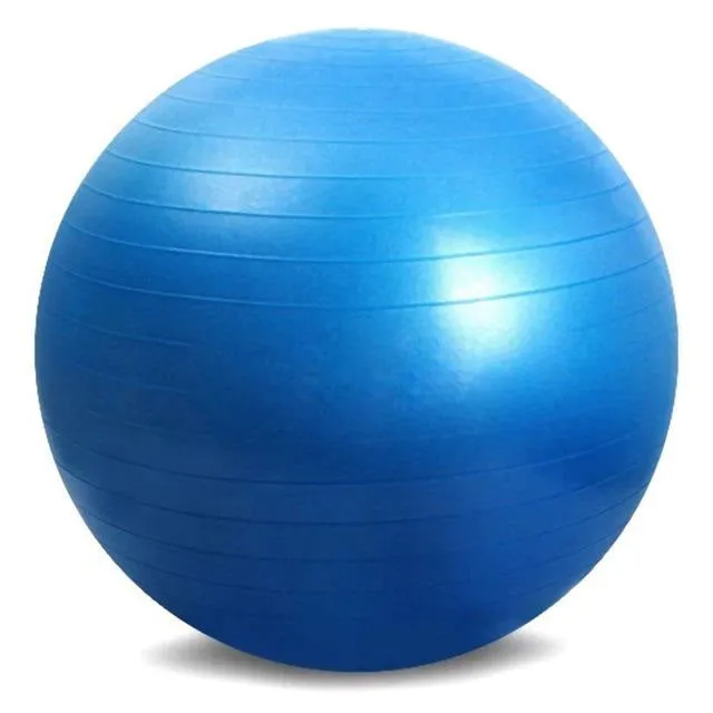 65cm Yoga Pilates Swiss Ball