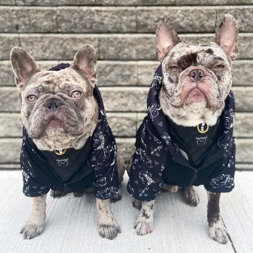 Frenchiestore Organic Dog hoodie | Puppy Love