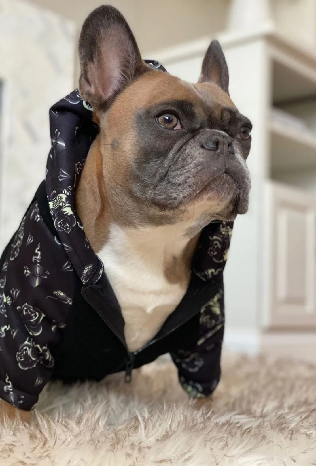 Frenchiestore Organic Dog hoodie | Puppy Love